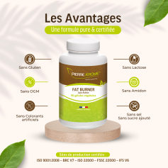 Fat Burner - Brûleur de Graisse & Boost Métabolique