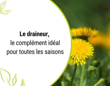 Le draineur, le complément idéal pour toutes les saisons