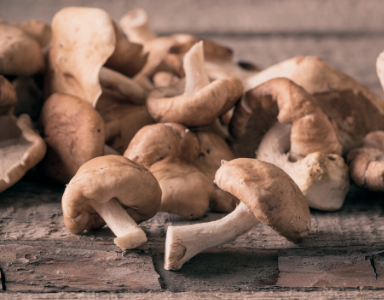 Reishi shiitake : un complément alimentaire efficace et détonant