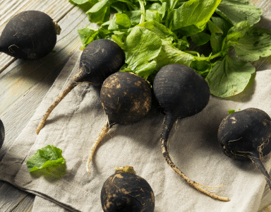Les bienfaits du Radis Noir BIO en complément alimentaire