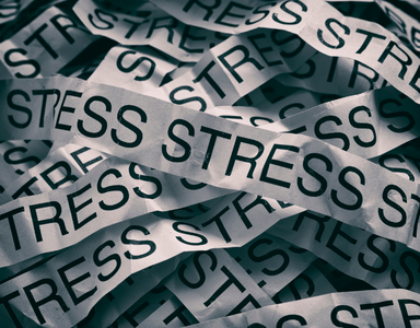 Compléments alimentaires contre le stress : lesquels sont efficaces ?